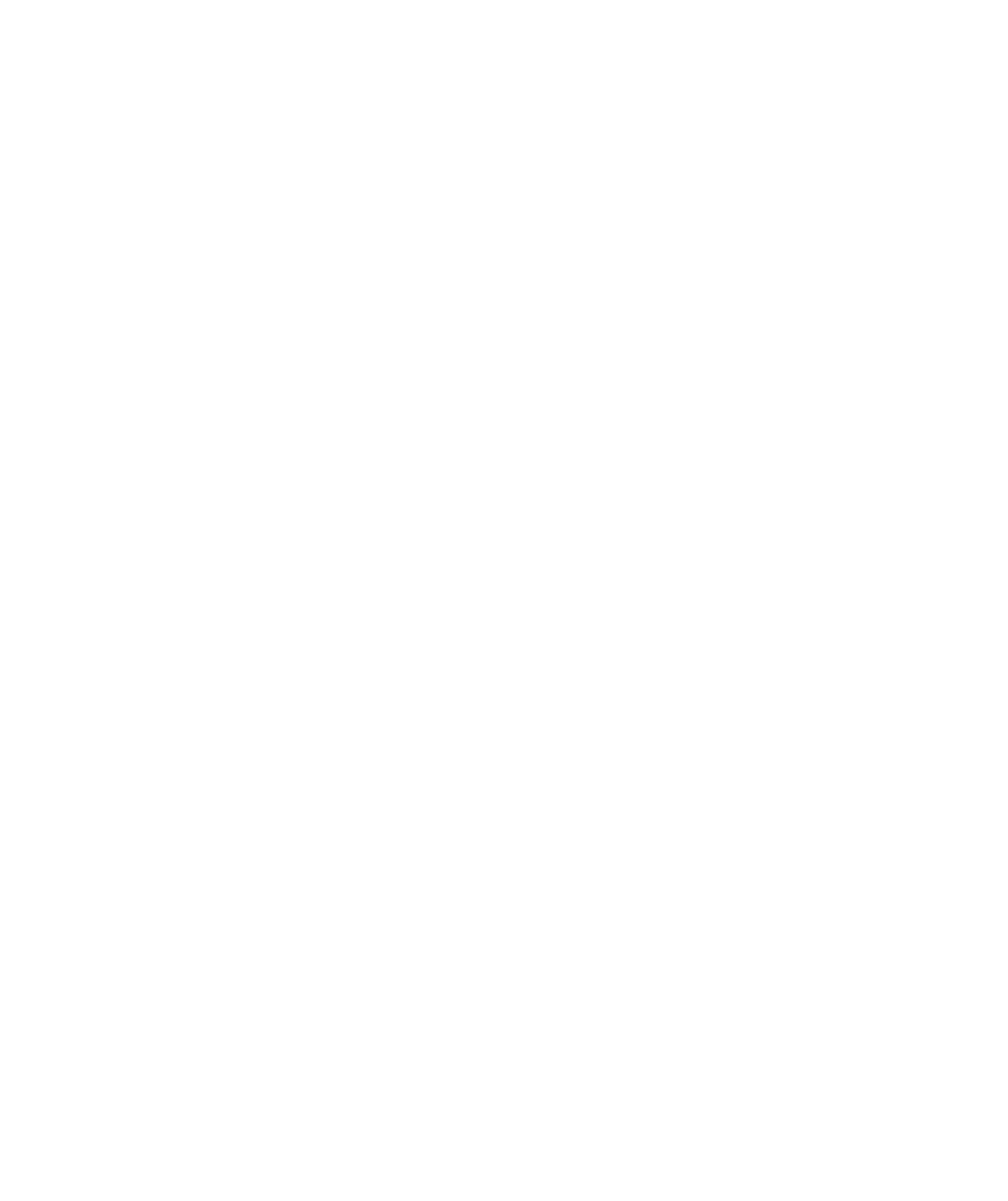 Deleon logo